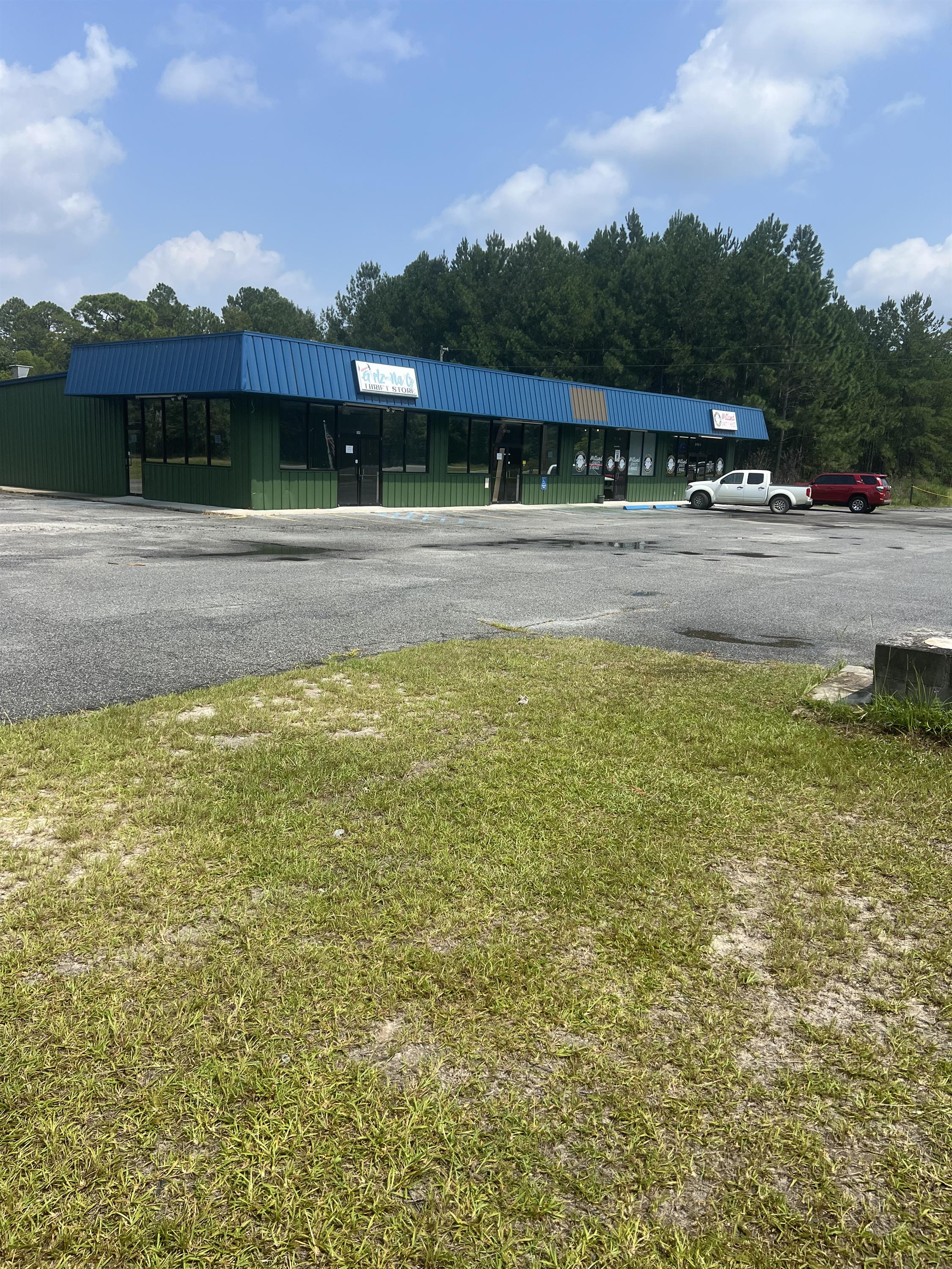 5195 Georgia HWY 196 - 1